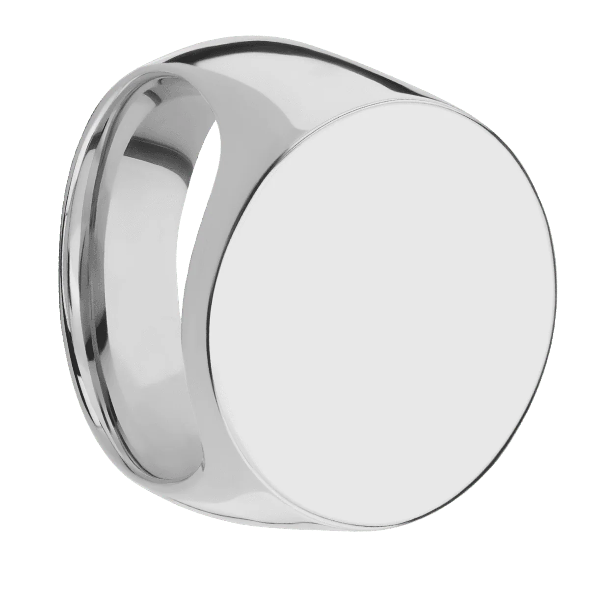 Extra Large Circle signet ring (22mm ) in Titanium, with a Wide style band.