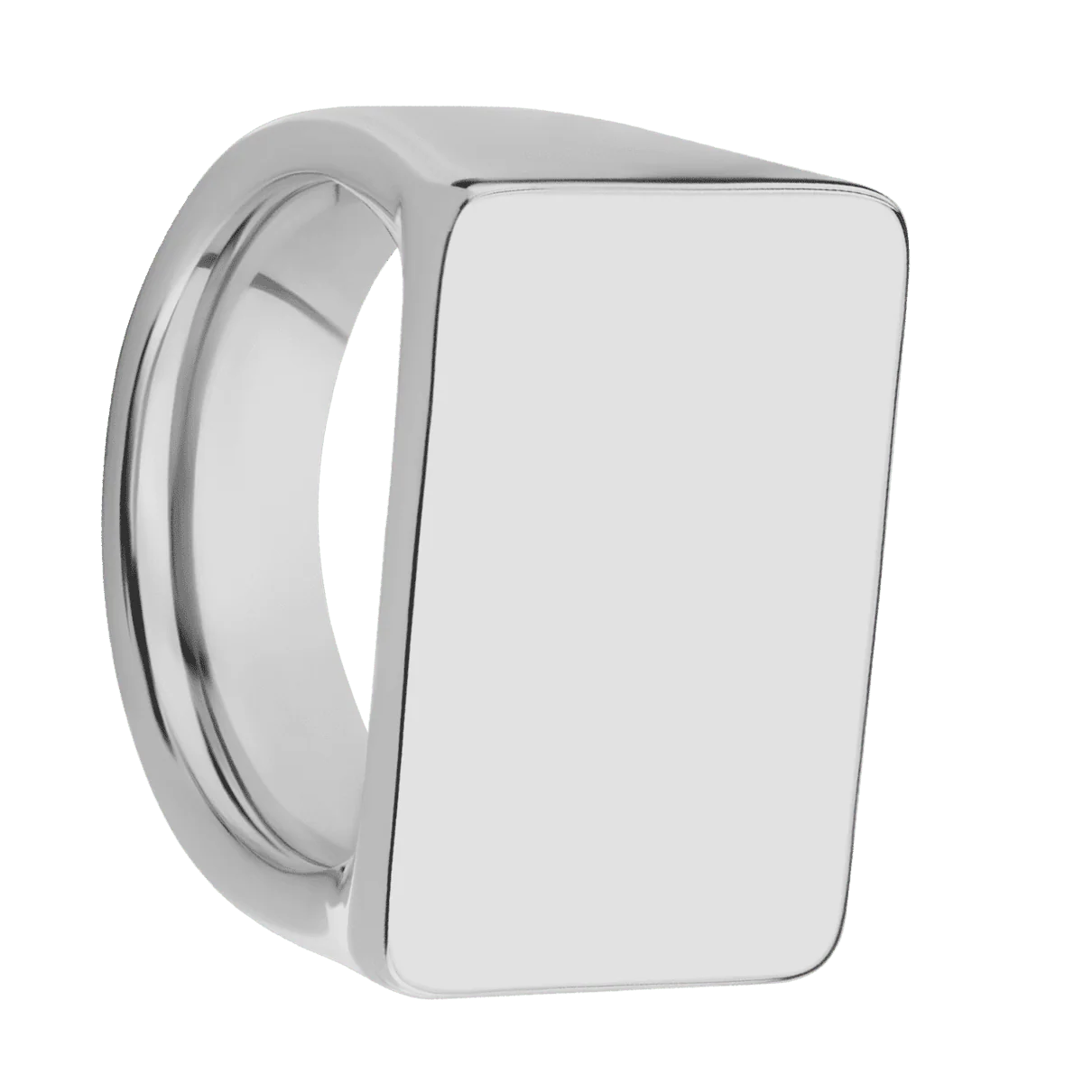 Extra Large Horizontal Rectangle signet ring  in Titanium, with a Wide style band.