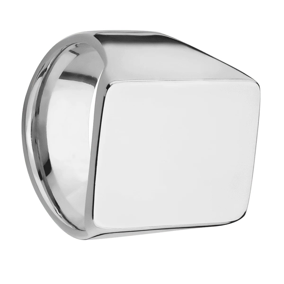 Extra Large Rectangle signet ring (24x17mm) in Titanium, with a Wide style band.