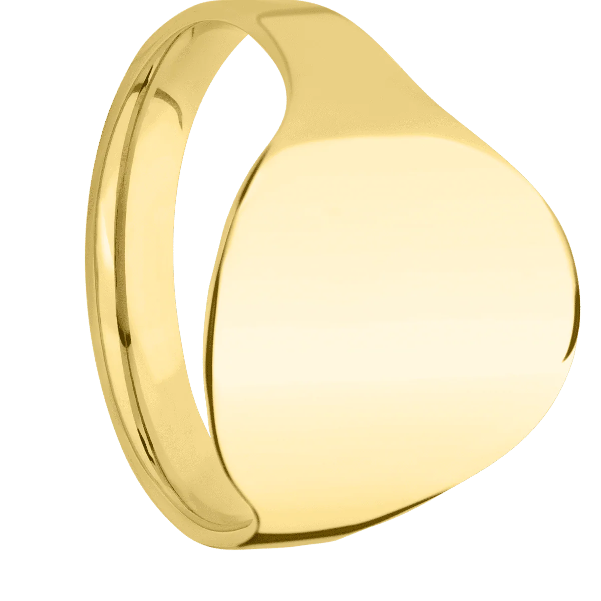 Large Circle signet ring (18mm) in 10K Yellow Gold, with a Cigar style band.