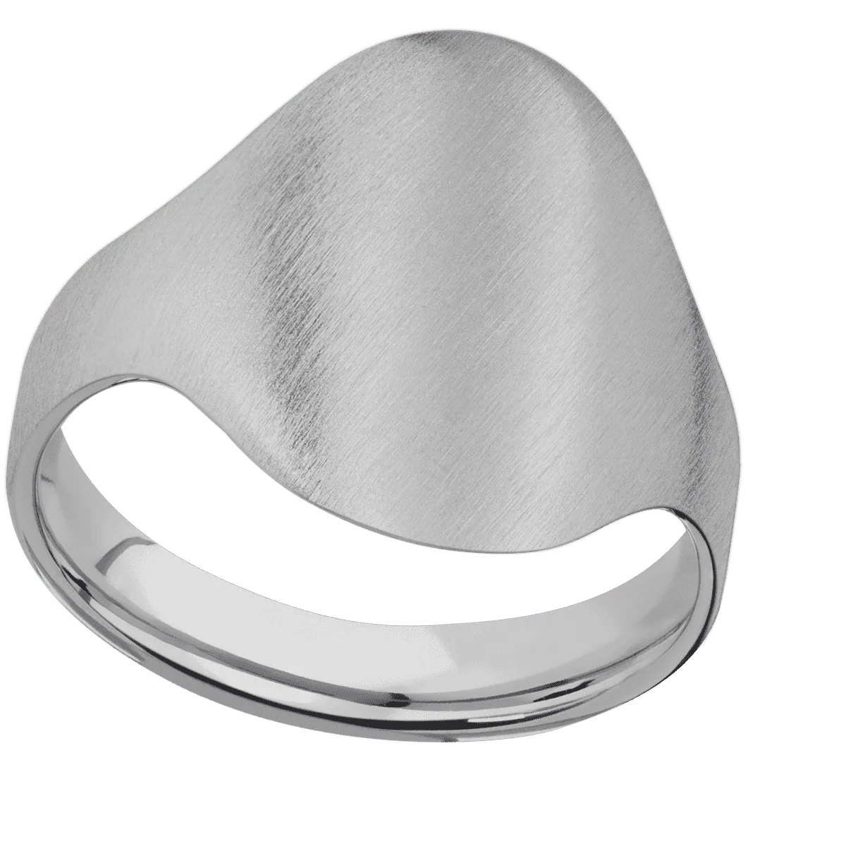 Large Oval signet ring (20x16mm) in Titanium, with a Cigar style band. - Image 3