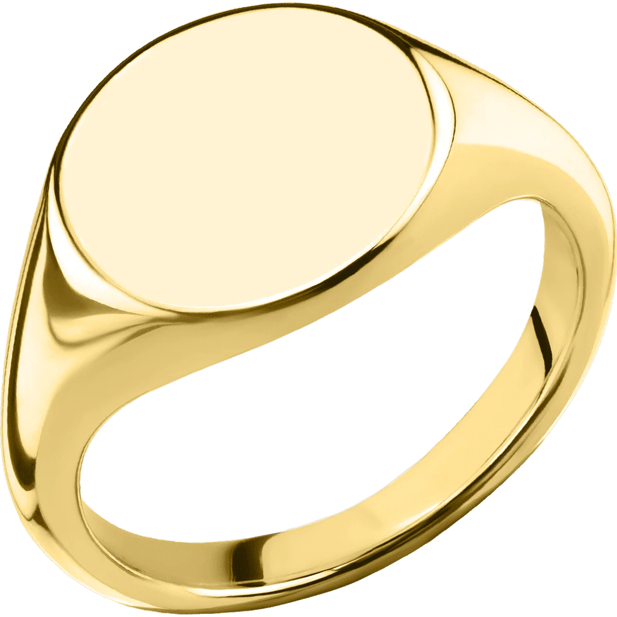 Medium Circle signet ring (14mm) in 10K Yellow Gold, with a Thin style band. - Image 2