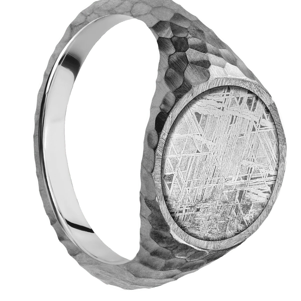 Medium Circle signet ring (14mm) in Platinum, with a Thin style band, a Meteorite inlay.