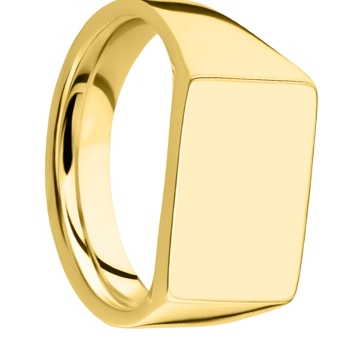 Medium Horizontal Rectangle signet ring (16x11.5mm) in 10K Yellow Gold, with a Wide style band.