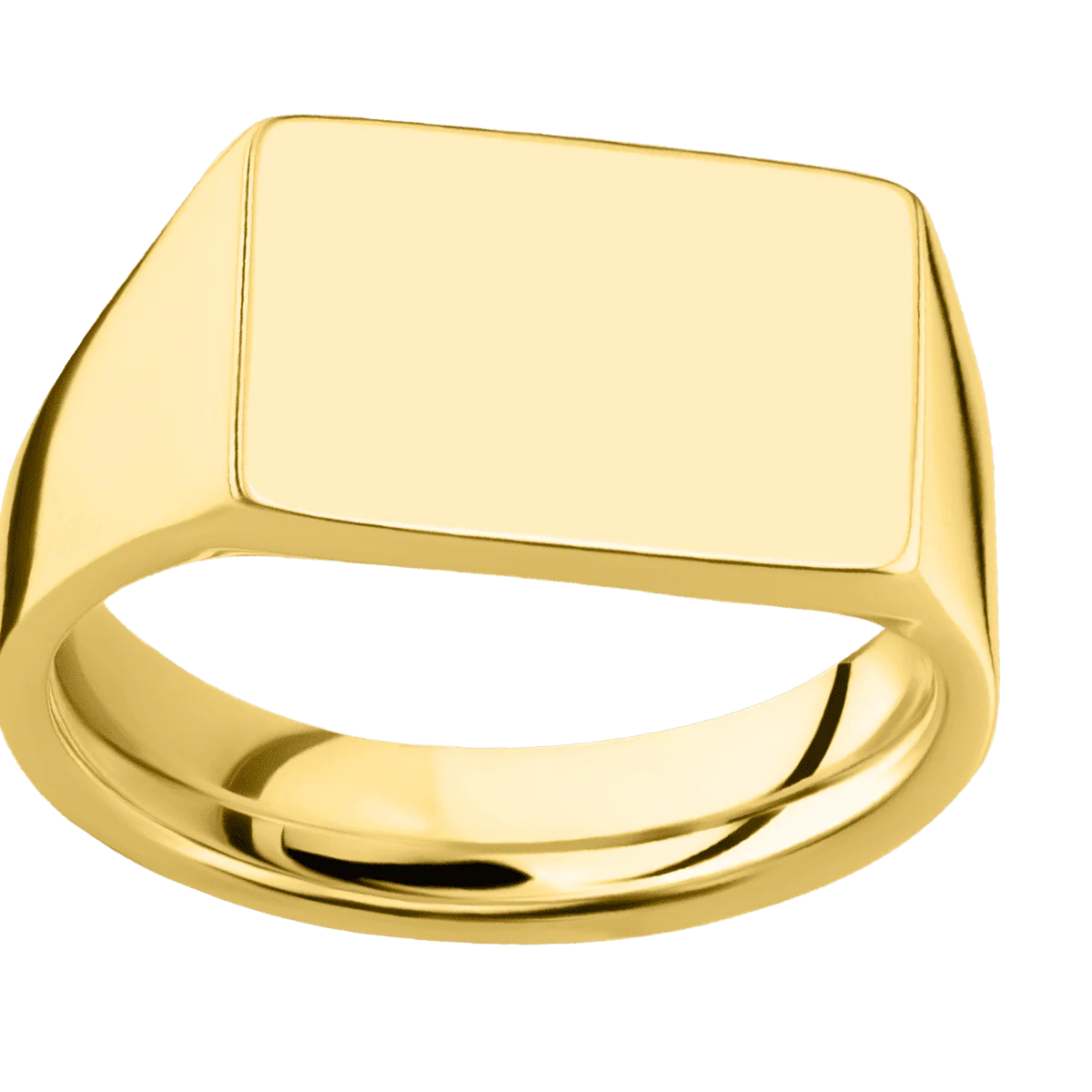 Medium Horizontal Rectangle signet ring (16x11.5mm) in 14K Yellow Gold, with a Wide style band. - Image 3