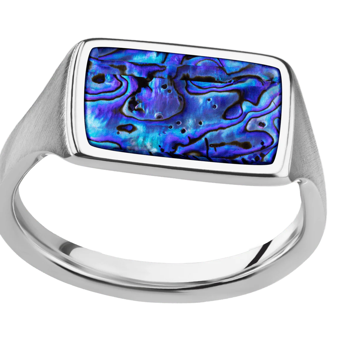 Medium Horizontal Rectangle signet ring (16x11.5mm) in Cobalt Chrome, with a Thin style band, a Blue Purple Abalone inlay. - Image 3