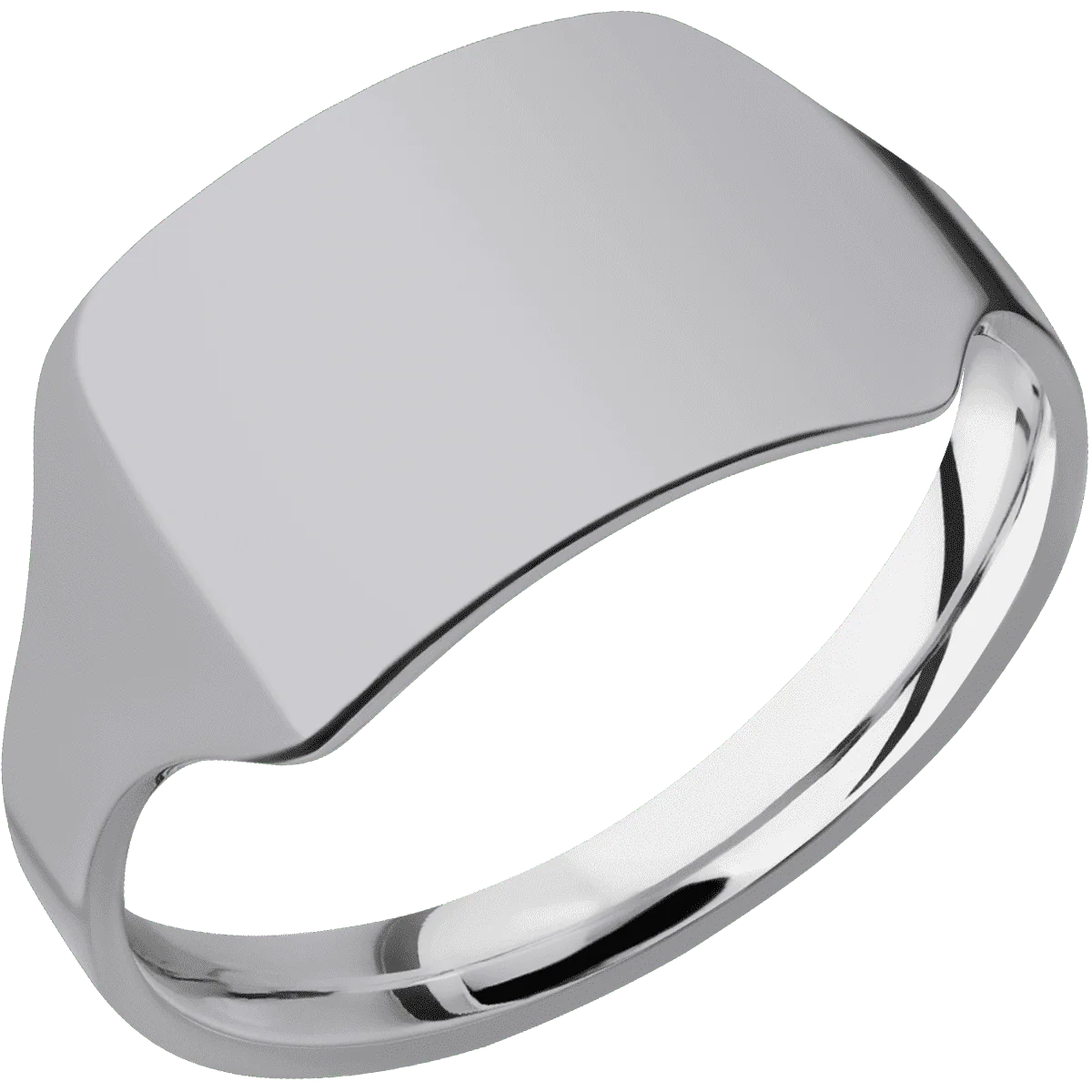 Medium Horizontal Rectangle signet ring (16x11.5mm) in Titanium, with a Cigar style band. - Image 2