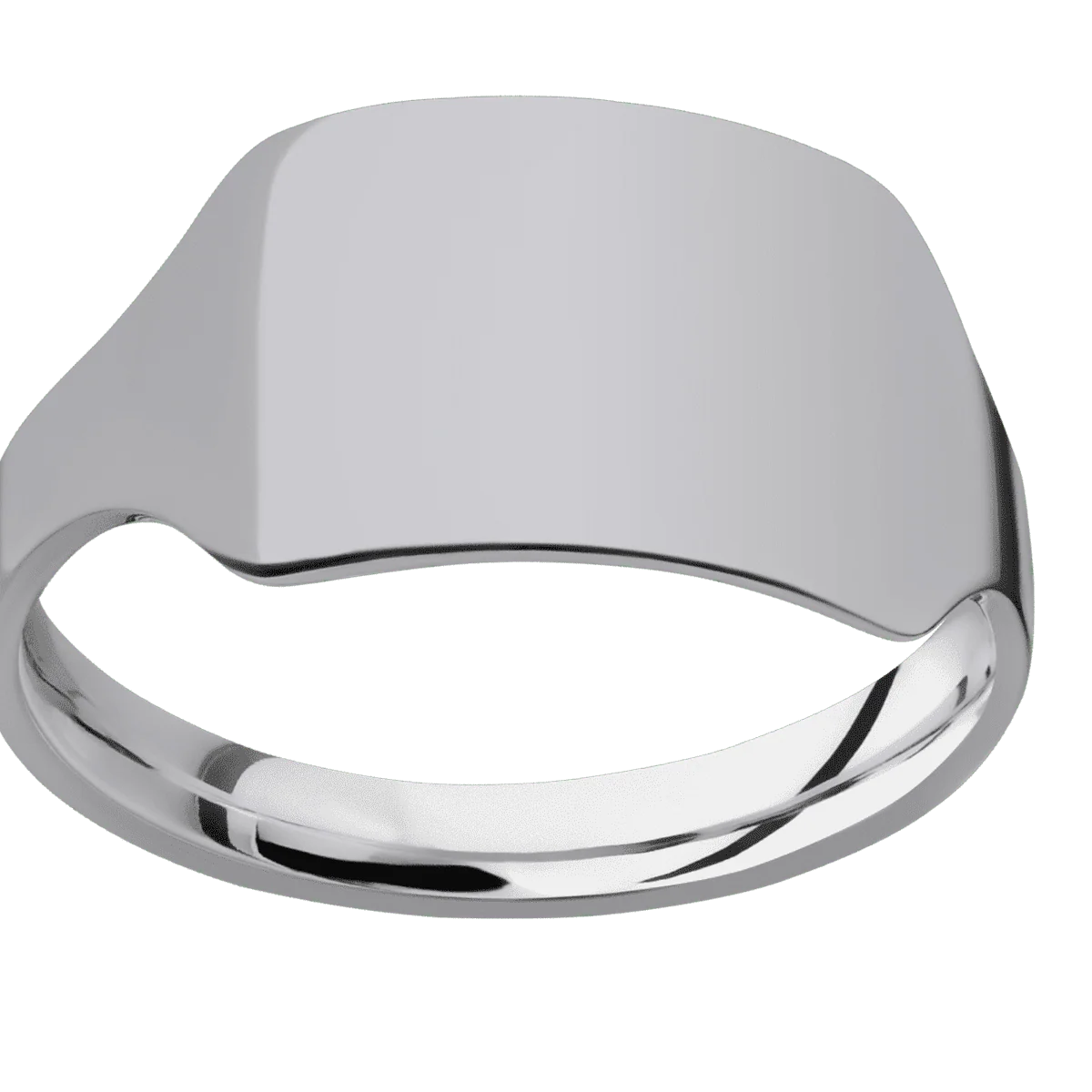 Medium Horizontal Rectangle signet ring (16x11.5mm) in Titanium, with a Cigar style band. - Image 3