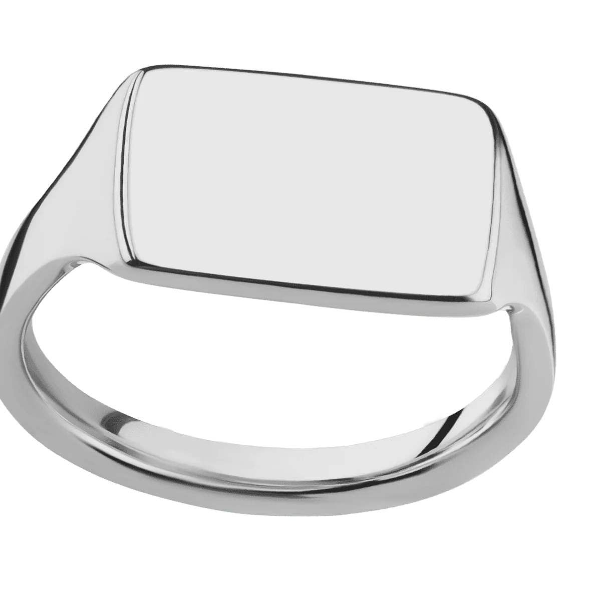 Medium Horizontal Rectangle signet ring (16x11.5mm) in Titanium, with a Thin style band. - Image 3