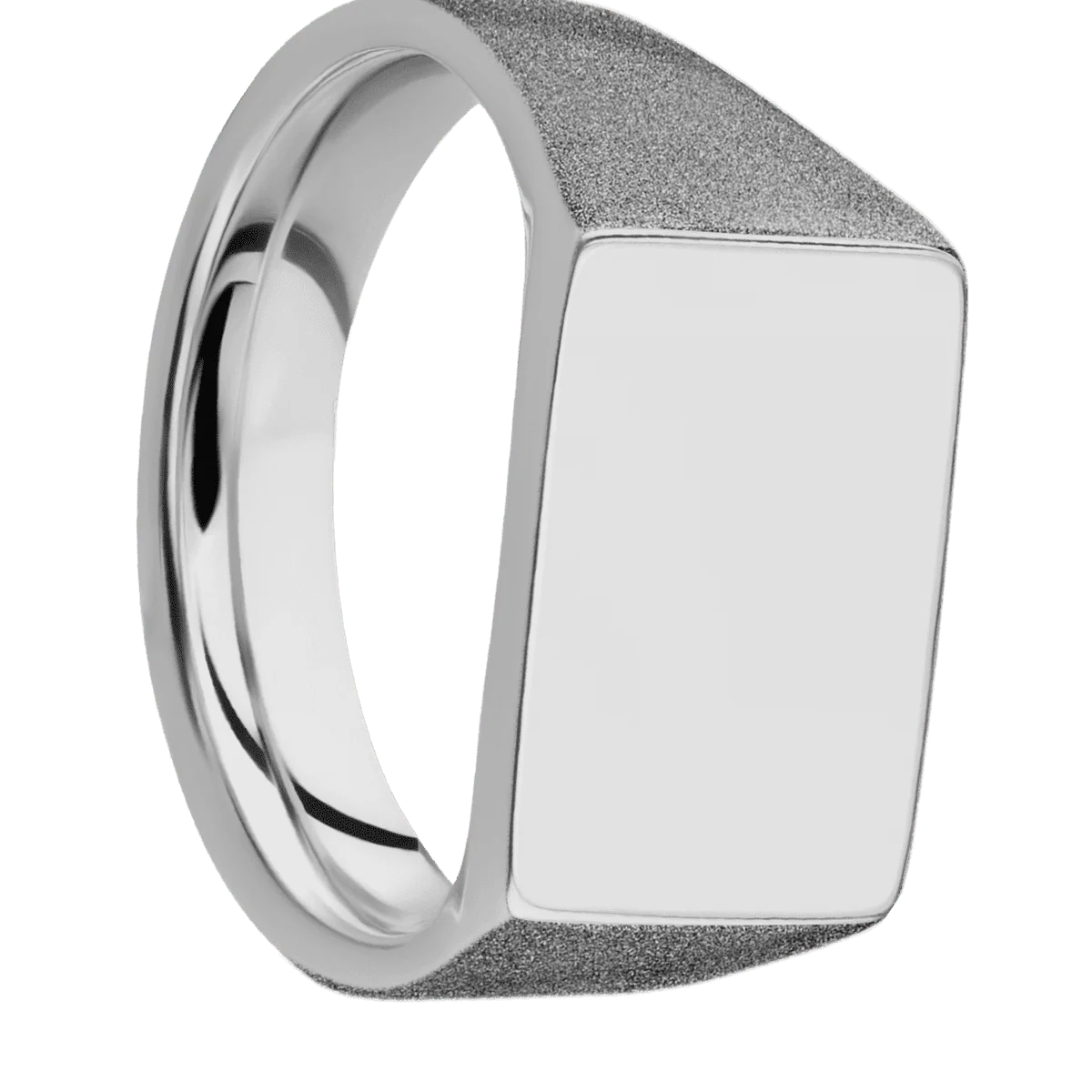 Medium Horizontal Rectangle signet ring (16x11.5mm) in Titanium, with a Wide style band.