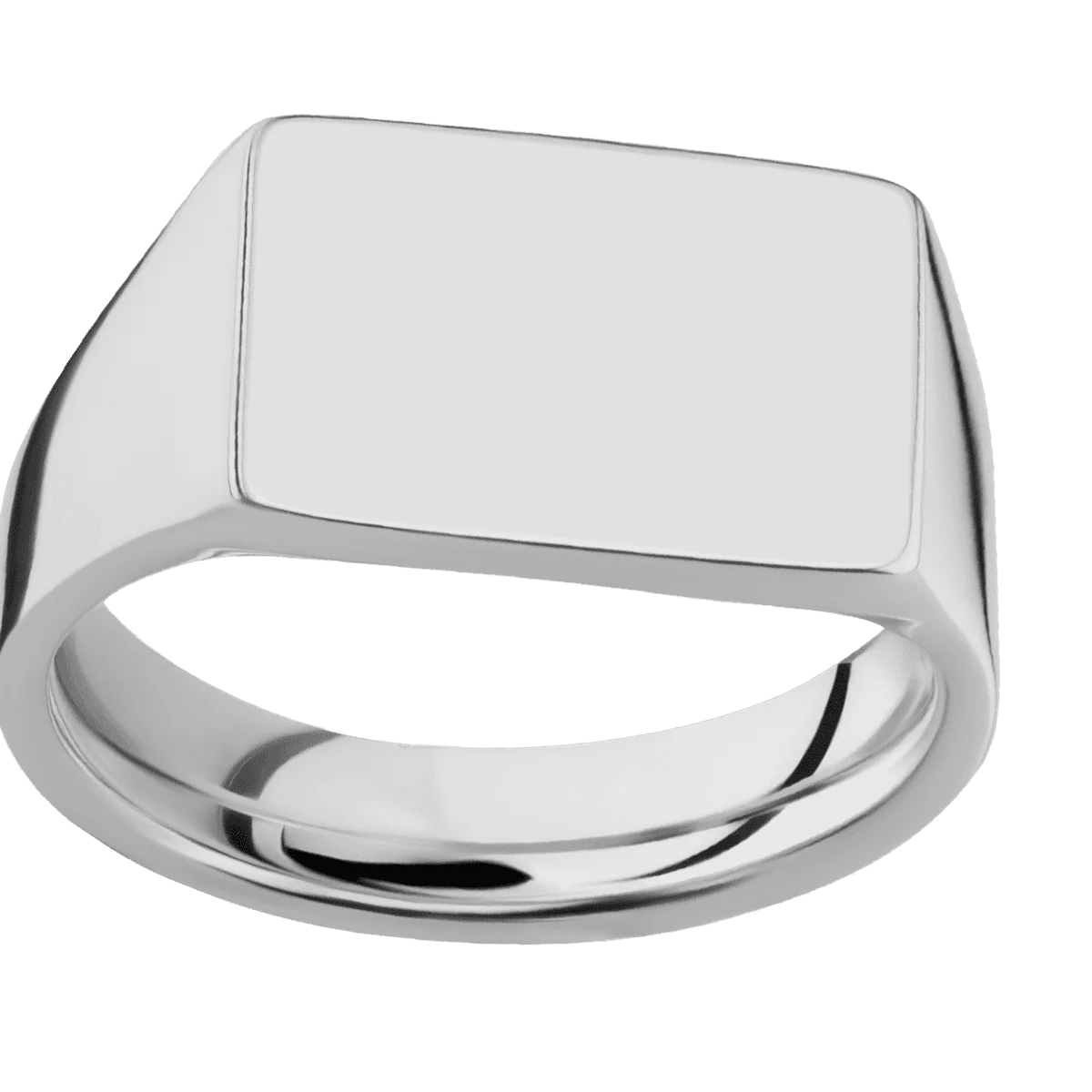 Medium Horizontal Rectangle signet ring (16x11.5mm) in Titanium, with a Wide style band. - Image 3