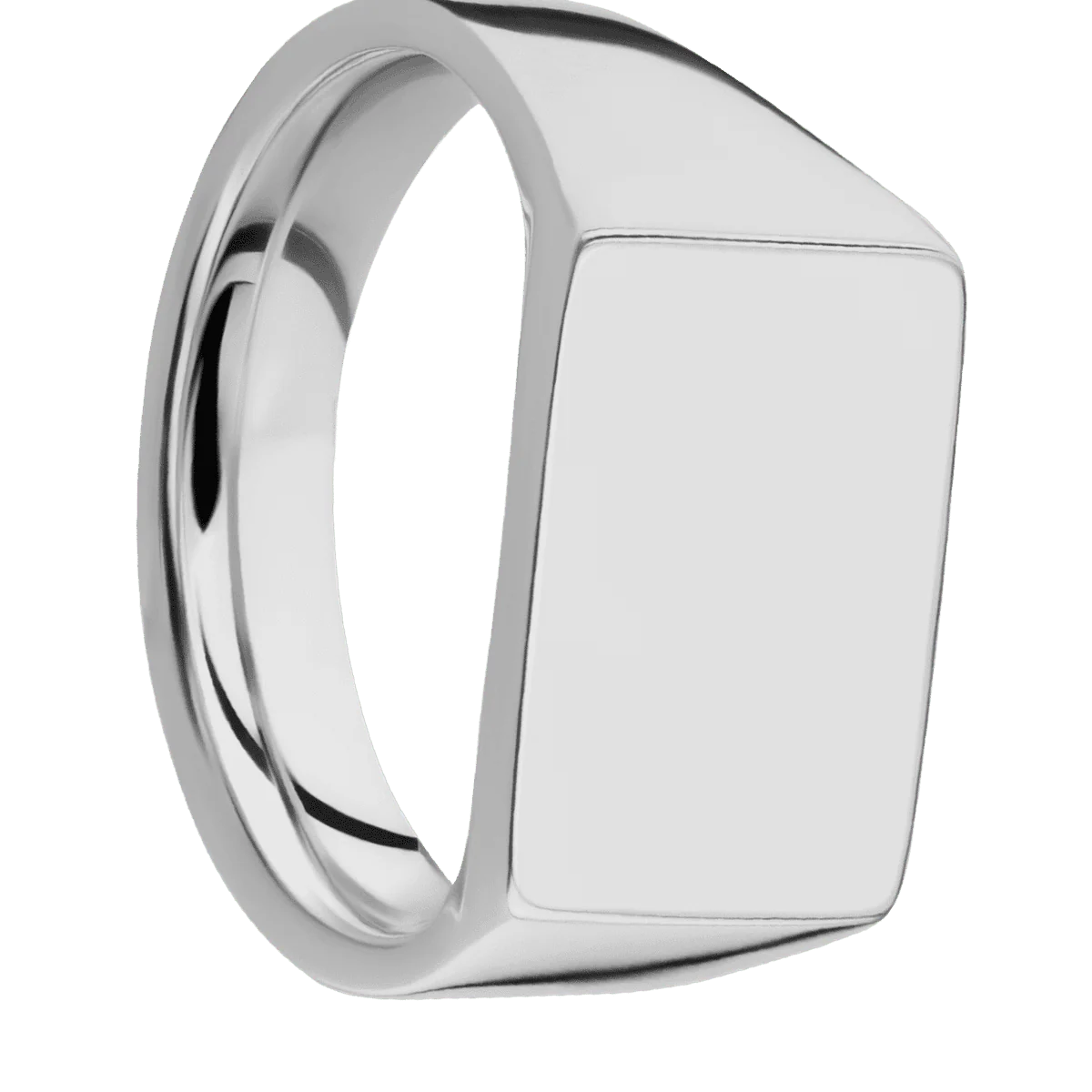 Medium Horizontal Rectangle signet ring (16x11.5mm) in Titanium, with a Wide style band.