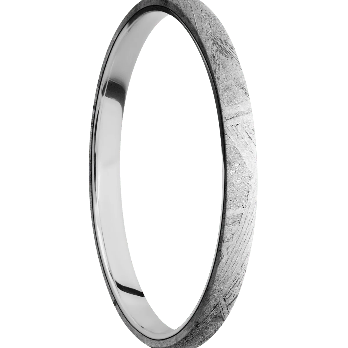 Meteorite + None Finish + 14K White Gold