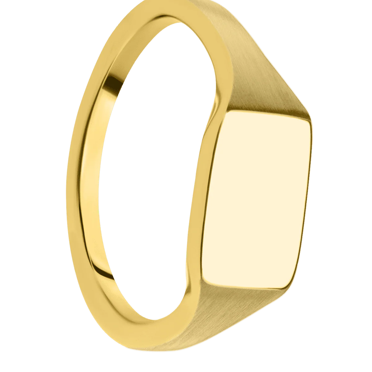 Small Horizontal Rectangle signet ring (12x9mm) in 14K Yellow Gold, with a Thin style band.