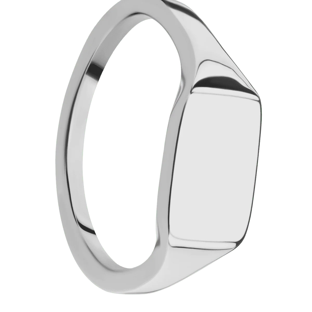 Small Horizontal Rectangle signet ring (12x9mm) in Titanium, with a Thin style band.