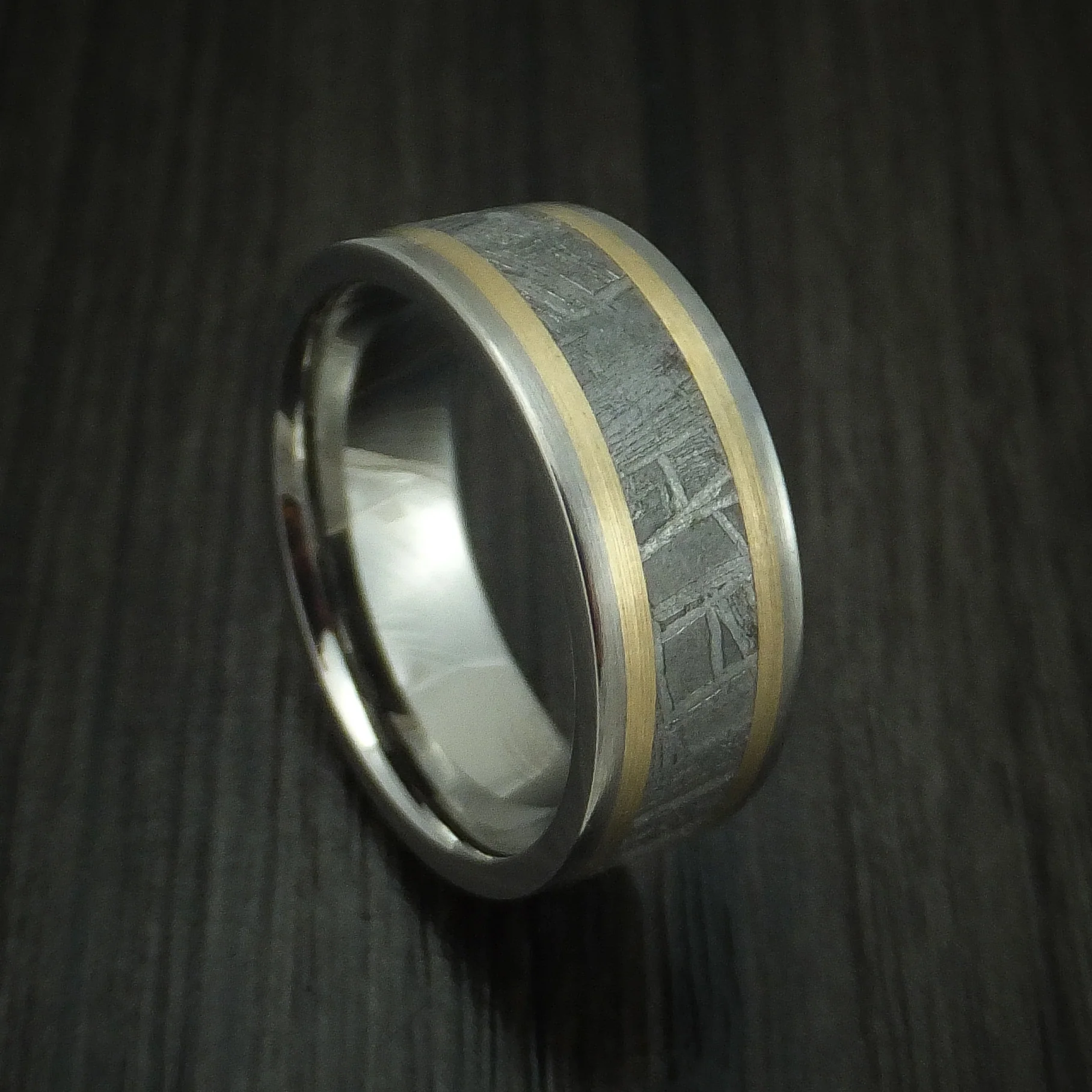 Titanium and Meteorite Men's Ring with 14K Gold Custom Made