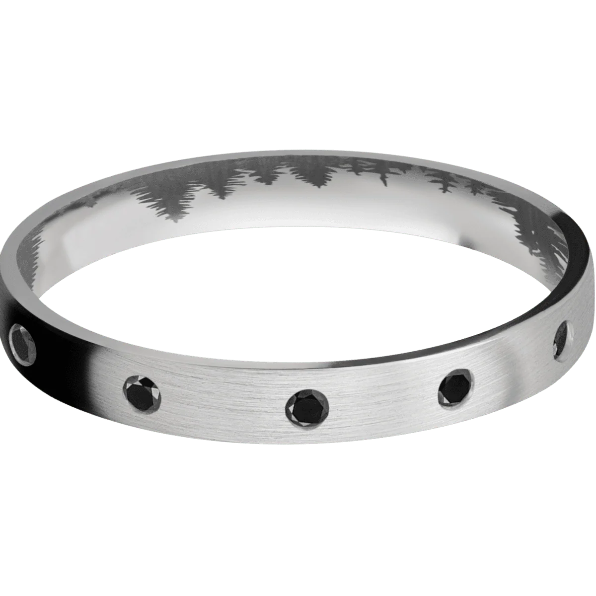 Titanium + Satin Finish - Image 3